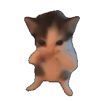 acgwin gif