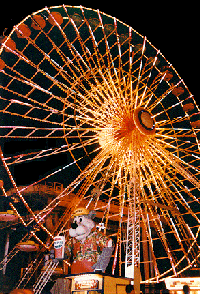 We have over 35 family rides to choose from!!!